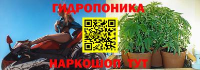 сатива Чапаевск