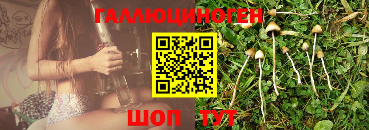 Галлюциногенные грибы Magic Shrooms Фрязино