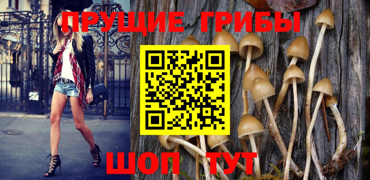 Фрязино  Галлюциногенные грибы MAGIC MUSHROOMS  Вход с VPN  Галлюциногенные грибы MAGIC MUSHROOMS 